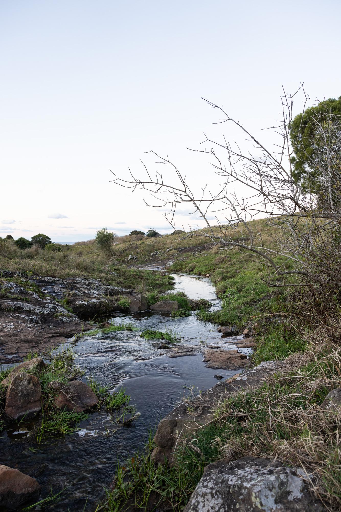 creek over rocks