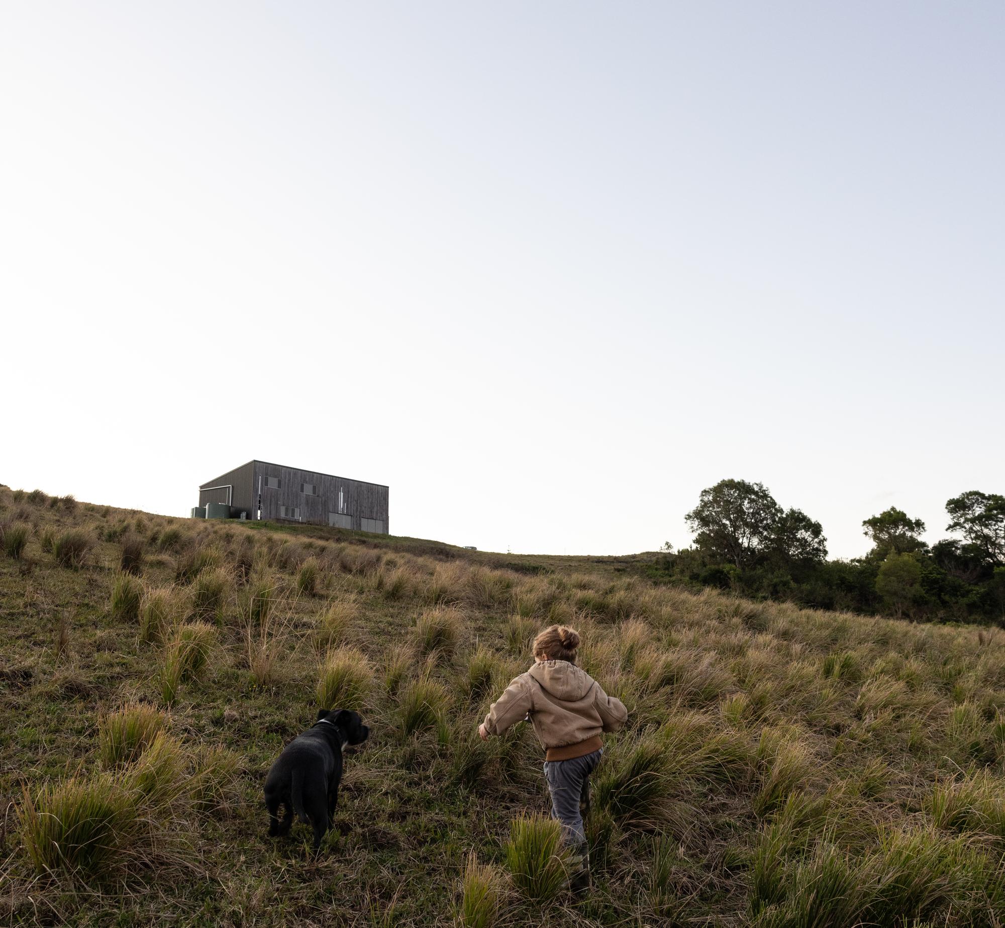 child and dog walking up toward the house
