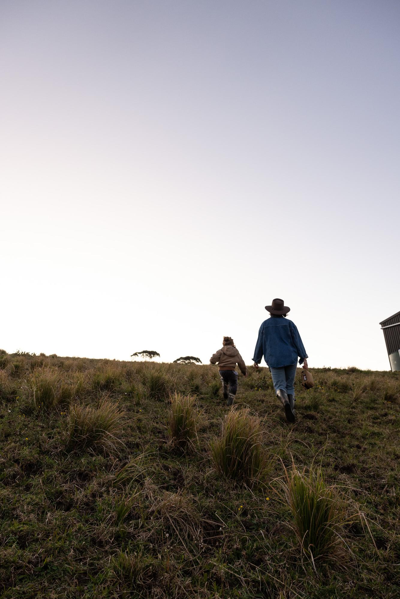 walking the paddock at dusk